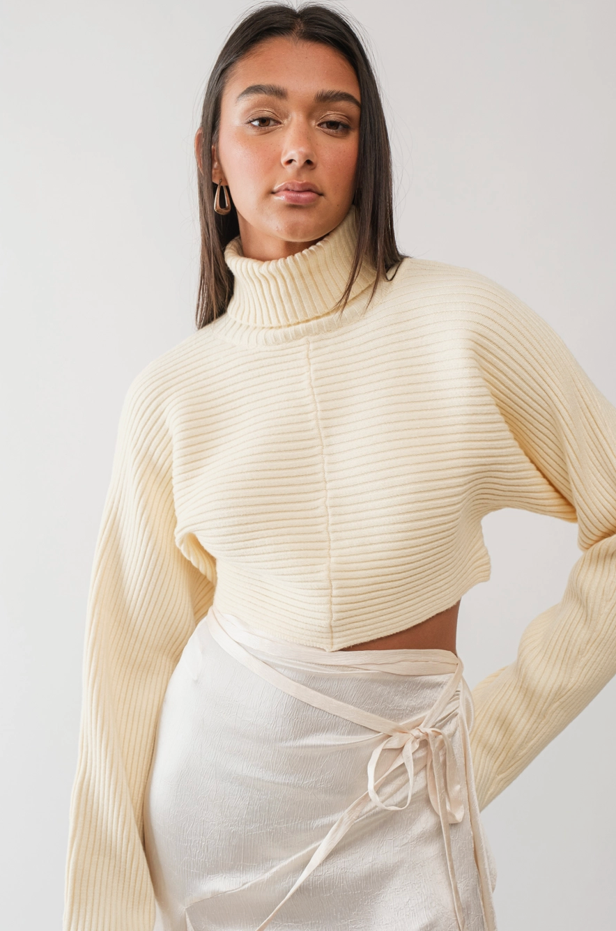 Monet Chunky Turtleneck Crop Sweater