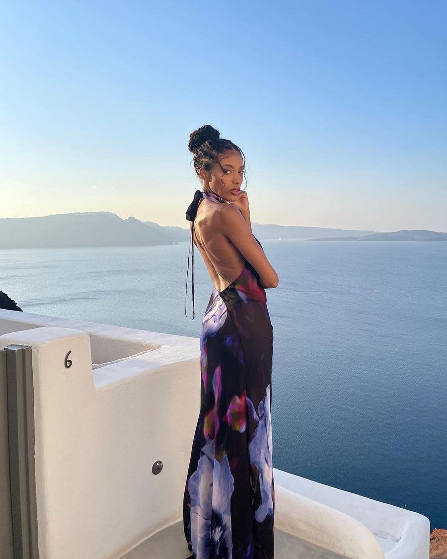 La Bella Mesh Maxi Dress