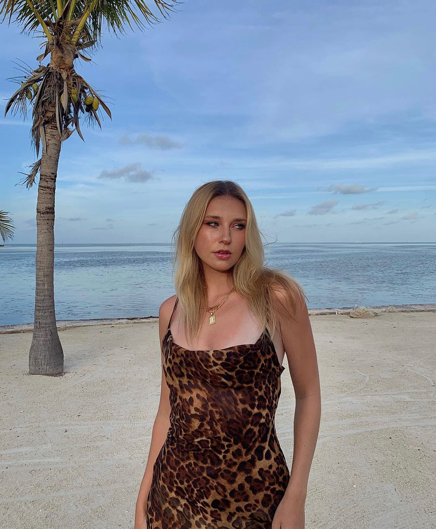 Lioness Mesh Maxi Dress