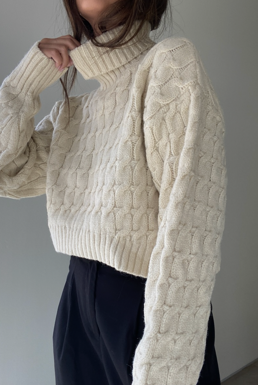 Remi Turtleneck Crop Knit Top